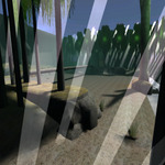 UJE_forest_sniper_b2