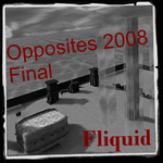 opposites_2008