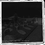 tm_halloween1_b2